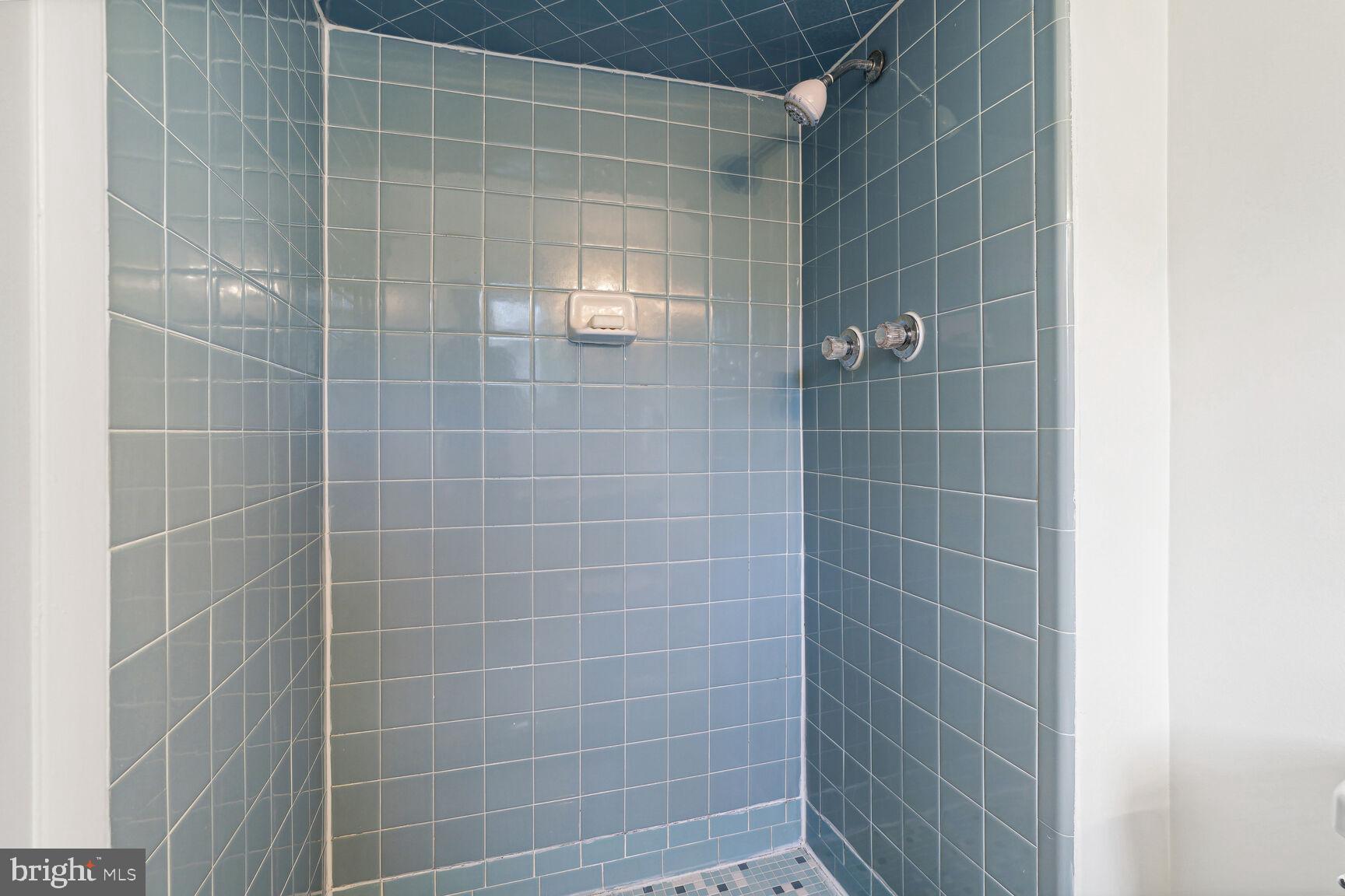 6420 Hollins Drive Bethesda, MD 20817 - Photo 21 of 34 Primary shower