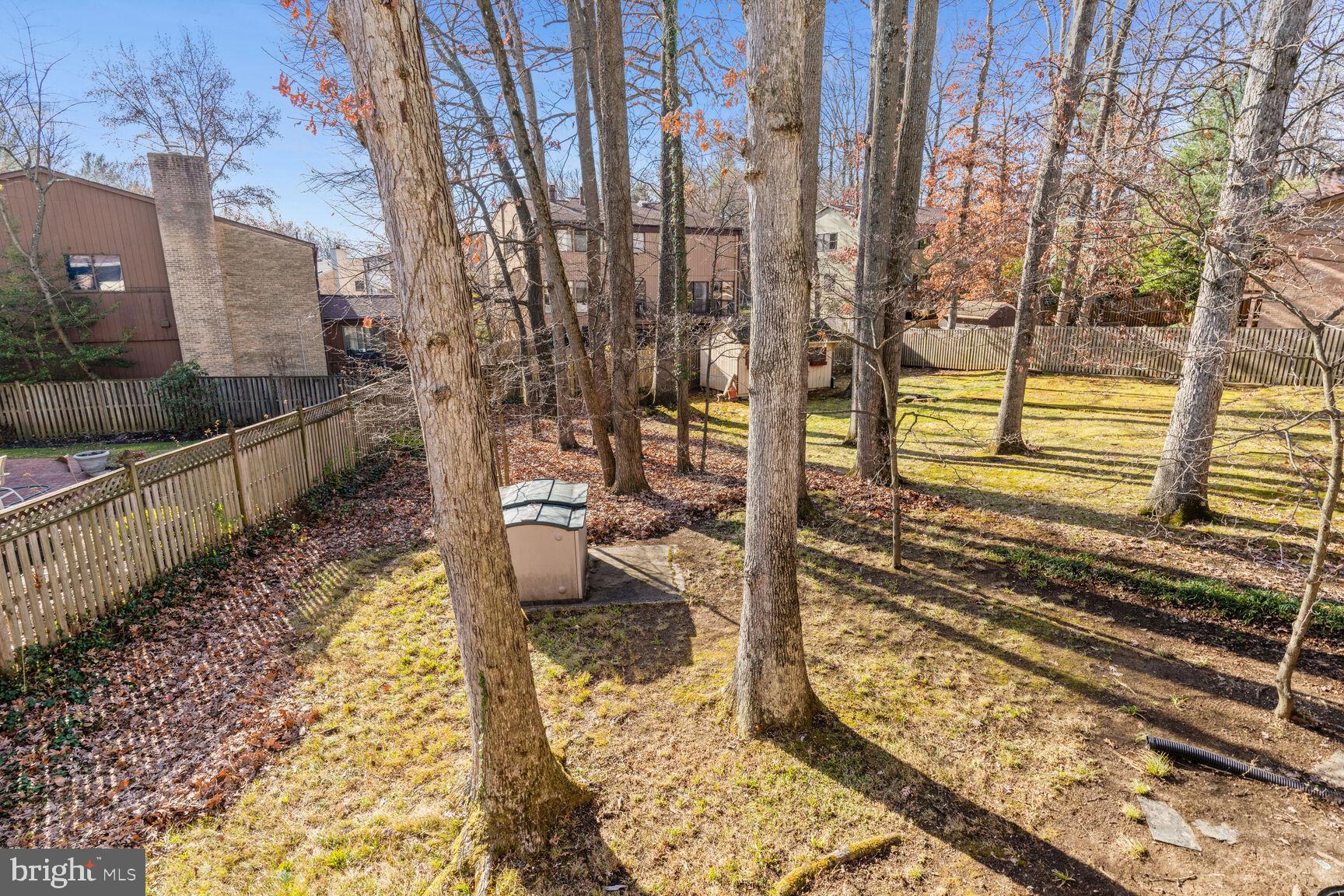6420 Hollins Drive Bethesda, MD 20817 - Photo 30 of 34 Mature trees bring nature in