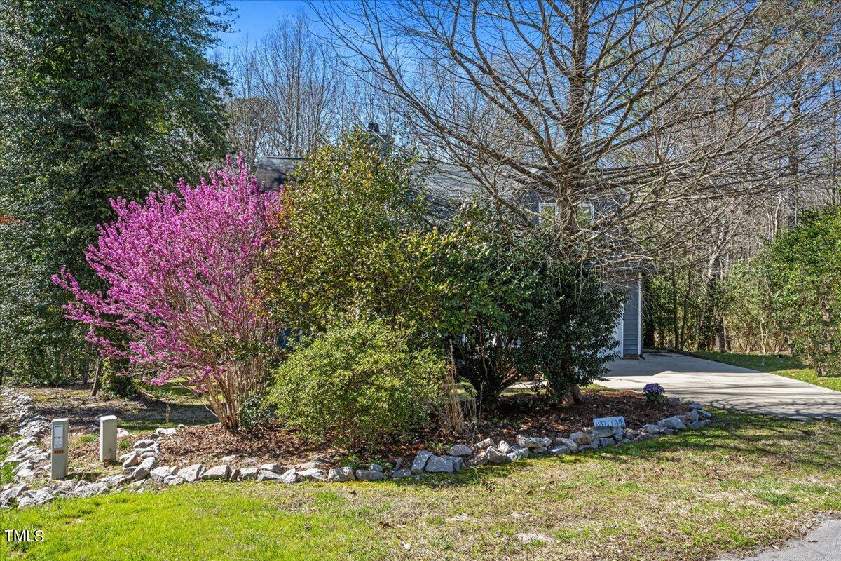 4201 Loon Lane Raleigh, NC 27616 - Photo 31 of 31 a view of a backyard with tree