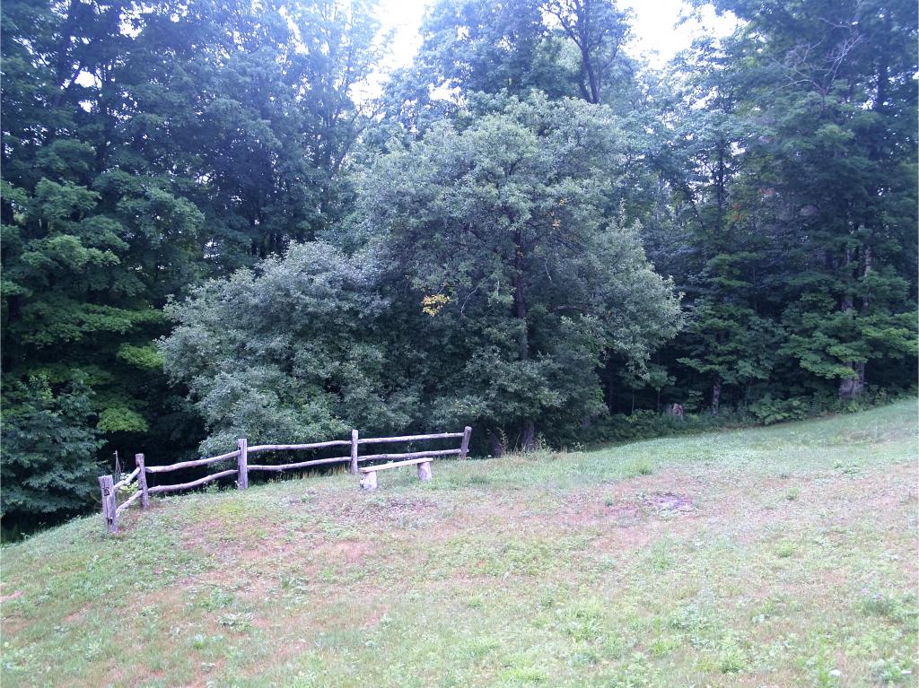 35 Alstead Hill Road Gilsum, NH 03448 - Photo 21 of 24