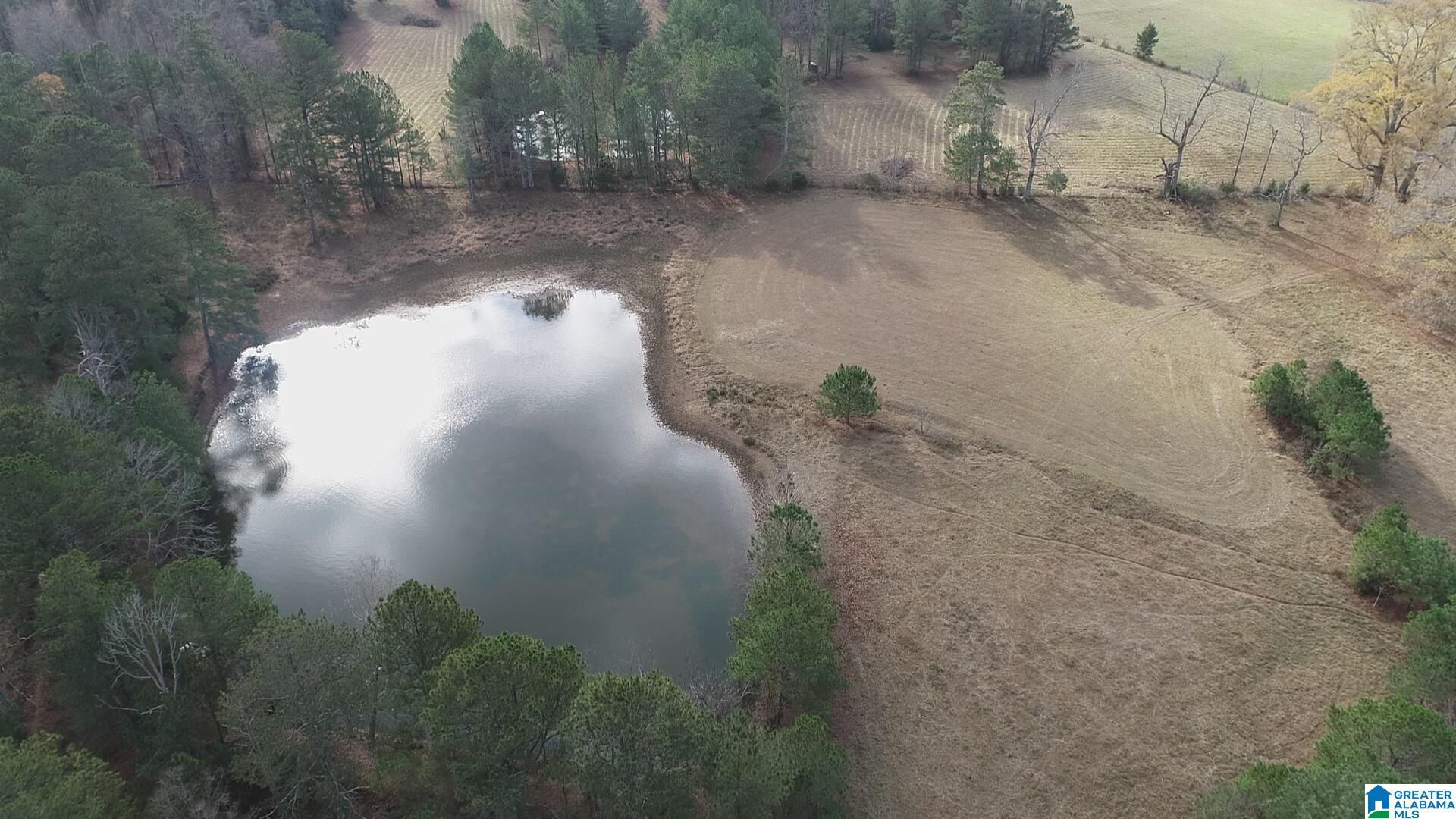 0 Highway 132, Unit 11 / ACRES Oneonta, AL 35121 - Photo 18 of 18