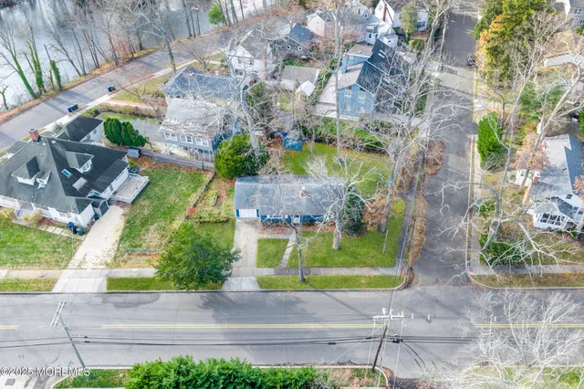 a view of a yard with plants and large trees