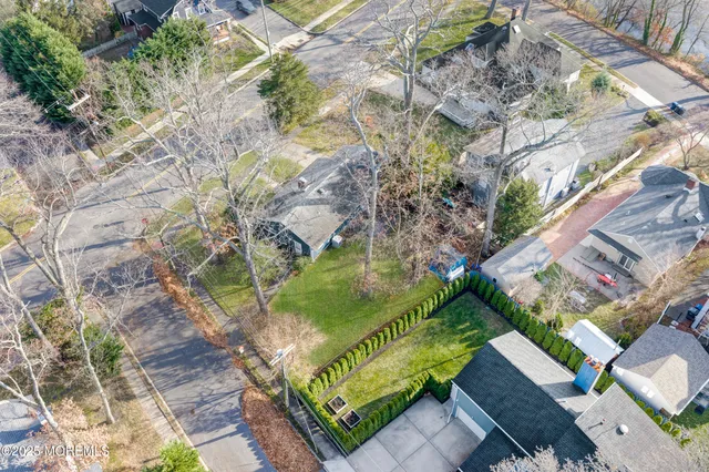 a view of a yard with plants