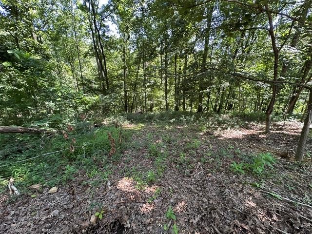 684 Eva Flatwoods Road Eva, TN 38333 - Photo 39 of 43