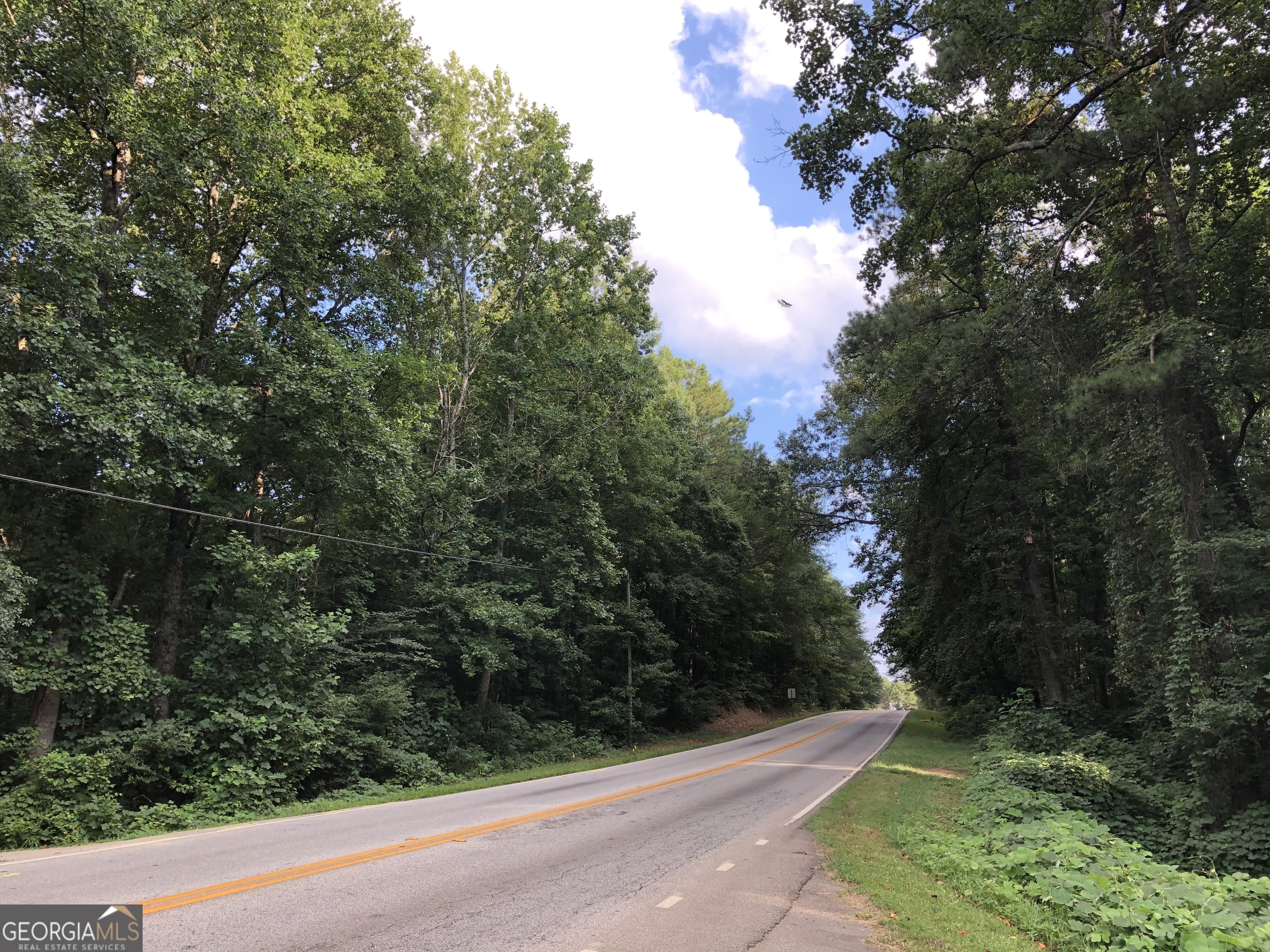 0 East Atlanta Road, Unit KINSEY DR Stockbridge, GA 30281 - Photo 5 of 11 a view of a garden