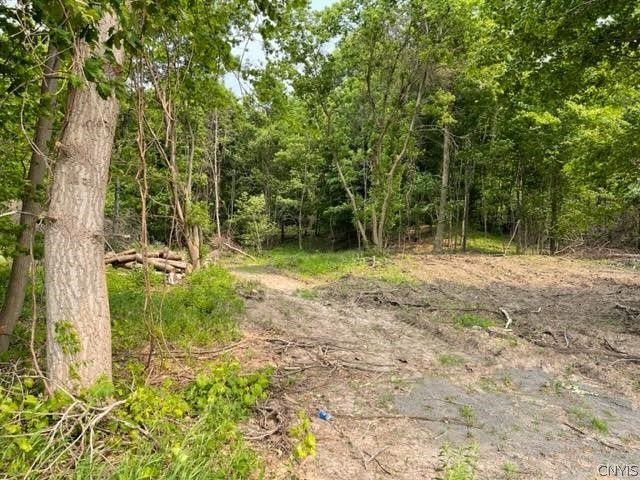 Harp Rd Road Canastota, NY 13032 - Photo 3 of 4
