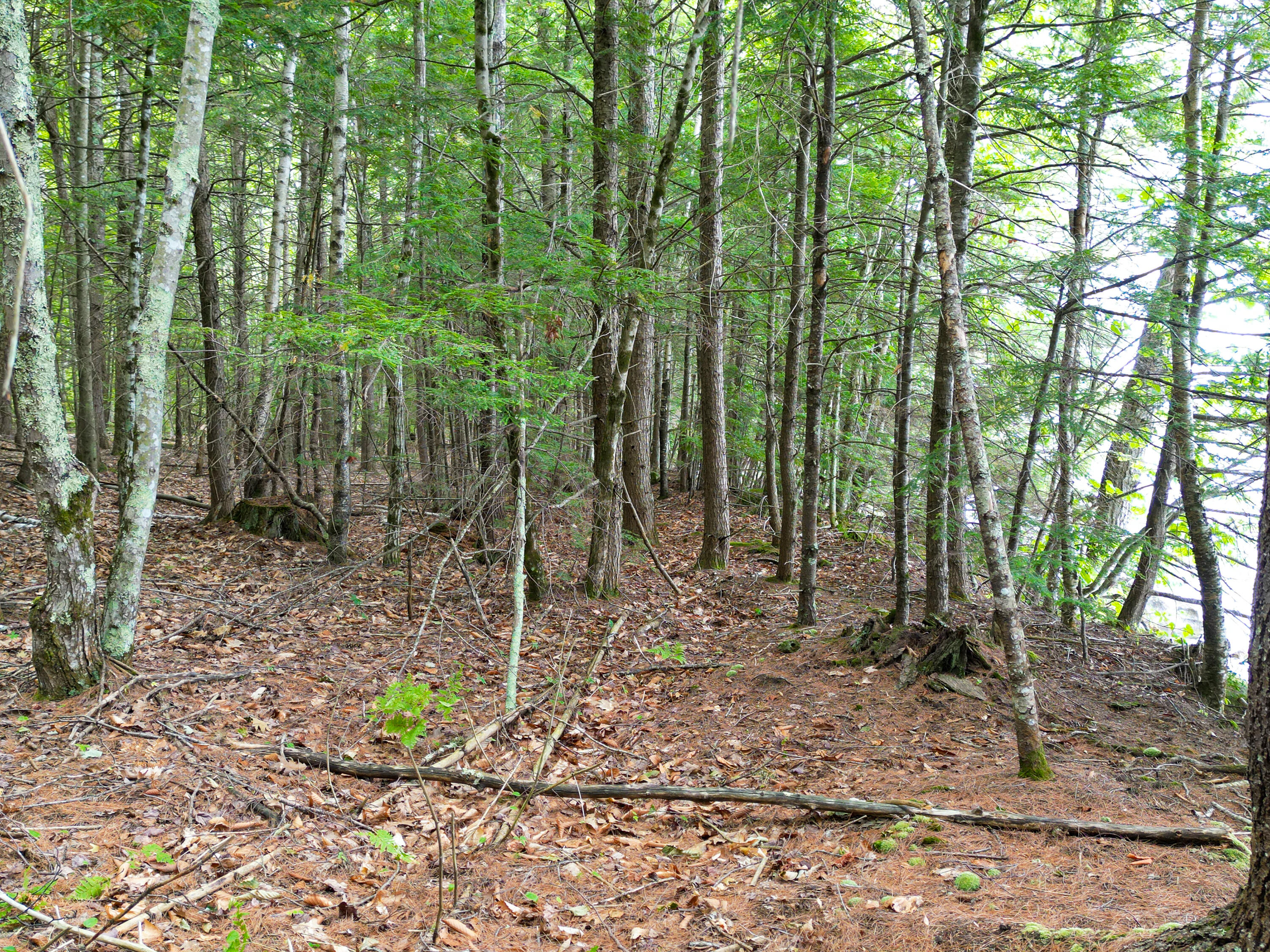 0 Osprey Point Belgrade, ME 04917 - Photo 13 of 23 110181gr-105