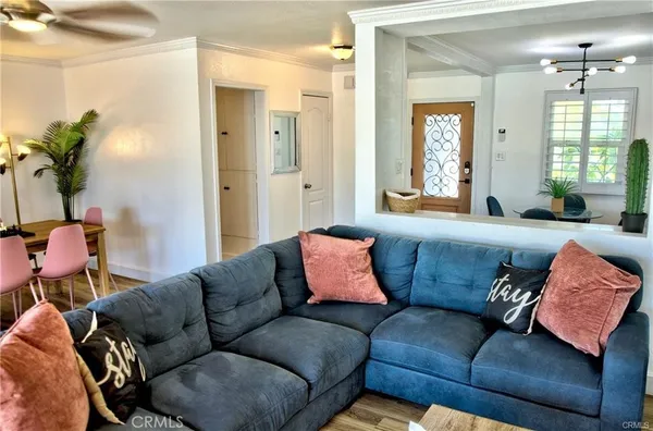 a living room with furniture potted plant and a window