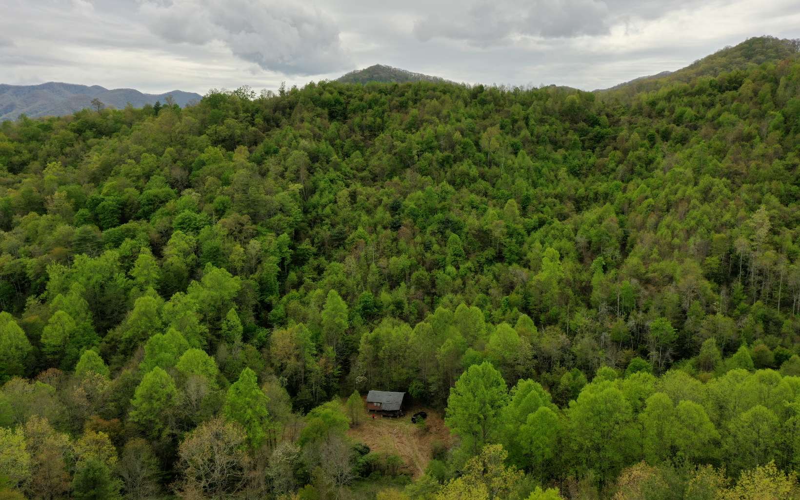 2345 Little Choga Road Topton, NC 28781 - Photo 1 of 1 Main View