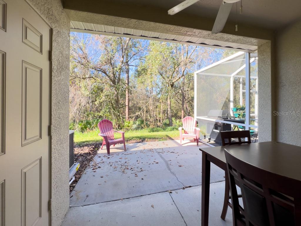 5874 Fishhawk Ridge Drive Lithia, FL 33547 - Photo 10 of 23