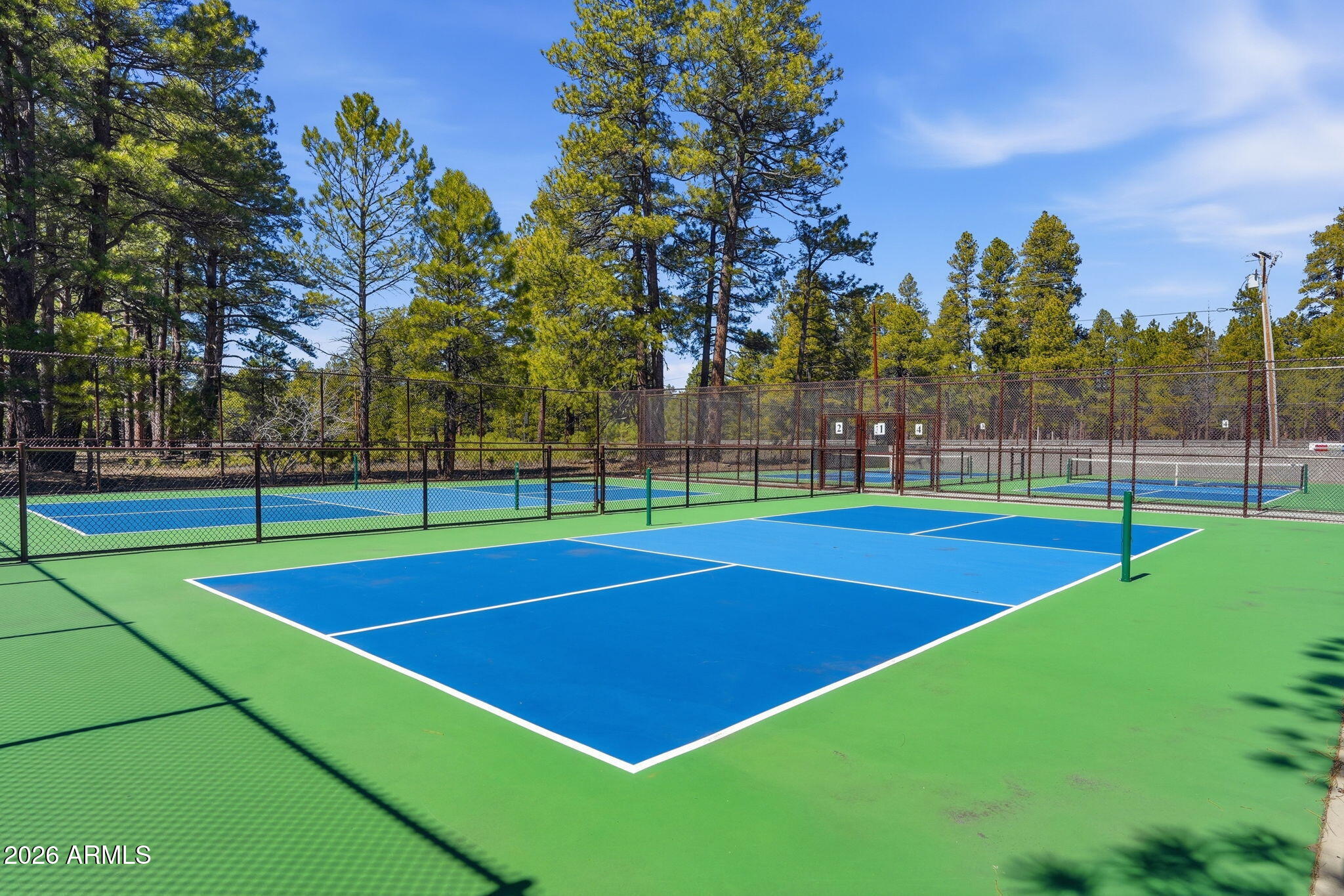 3441 Griffiths Spring Flagstaff, AZ 86005 - Photo 64 of 71 Community pickelball