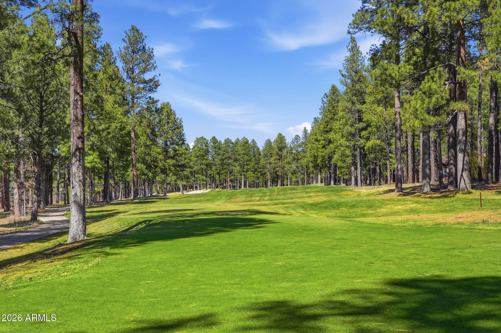 3441 Griffiths Spring Flagstaff, AZ 86005 - Photo 67 of 71 Fairway