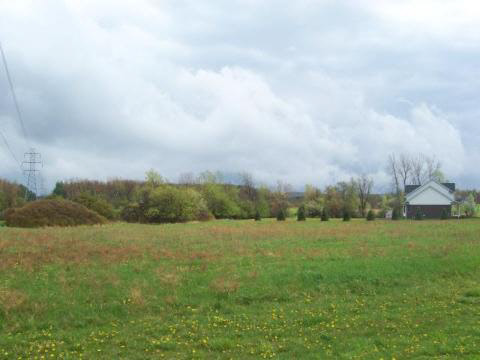 0 Lot Almont, MI 48003 - Photo 1 of 1 888276.JPG