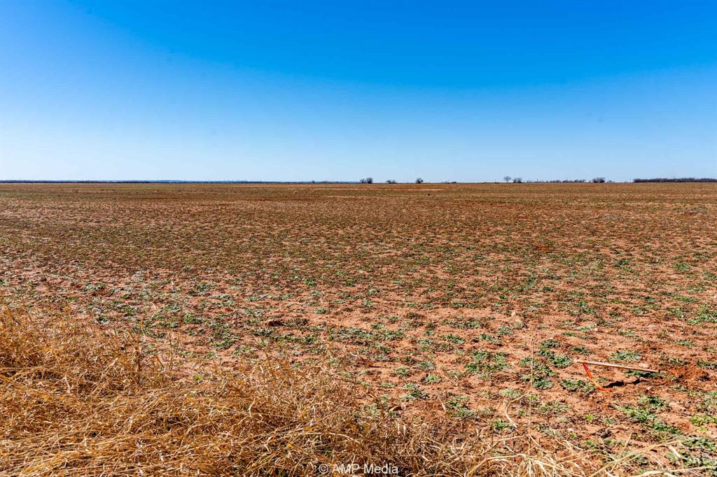 415 County Road 415 Merkel, TX 79536 - Photo 7 of 7