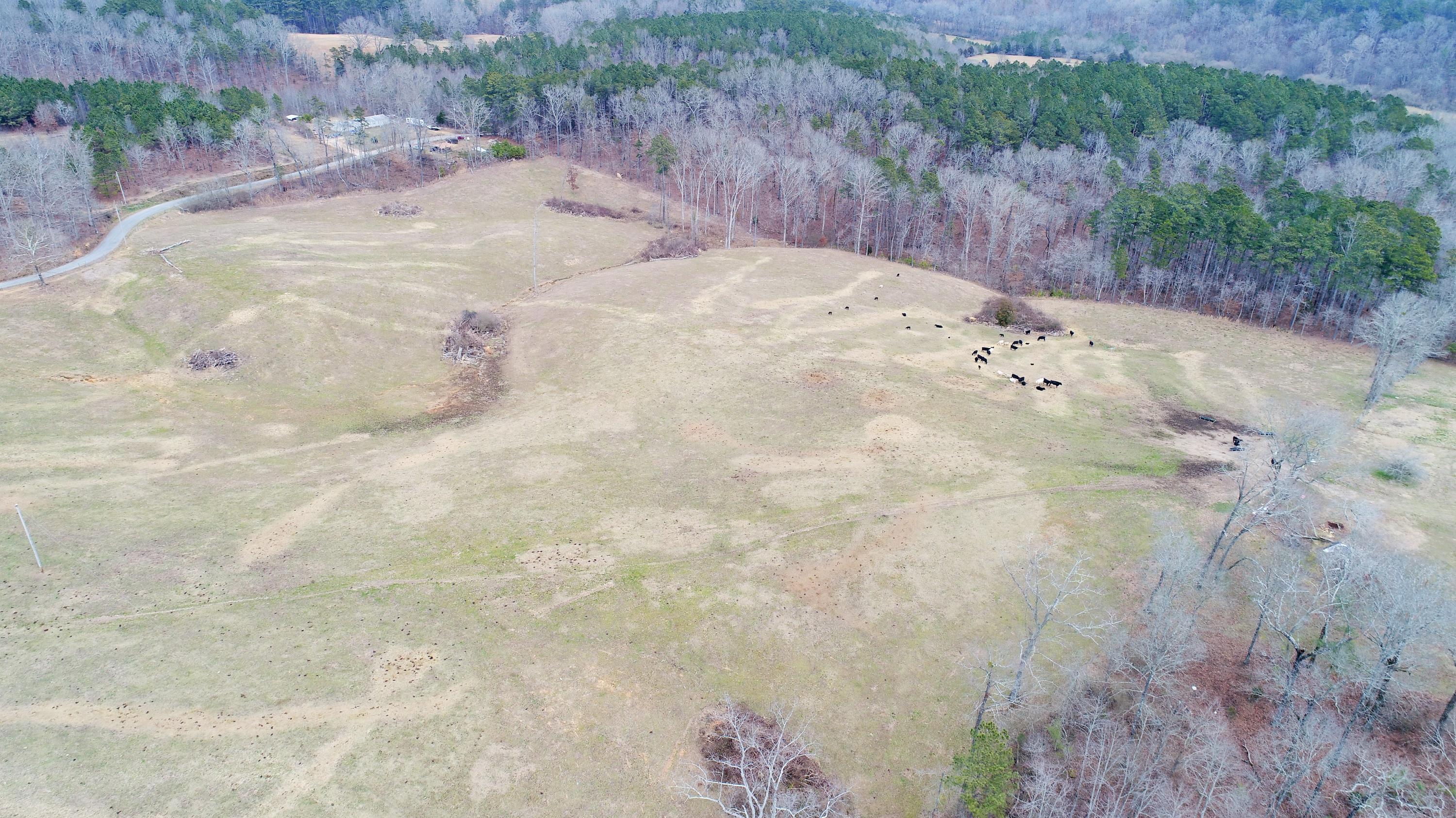 0 East Guild Road LaFayette, GA 30728 - Photo 9 of 9 9