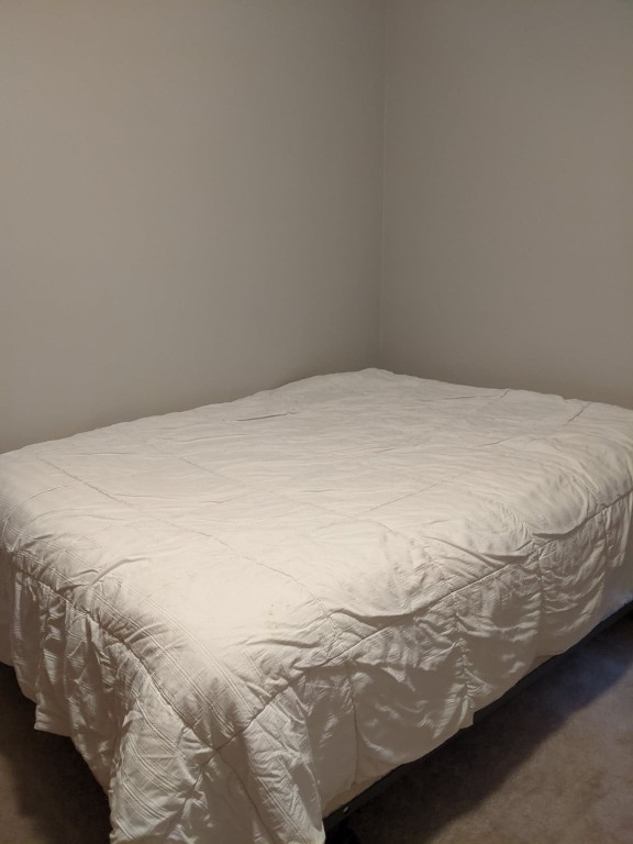 49 Noyes Road Vestal, NY 13850 - Photo 12 of 29 Gallery Image 12