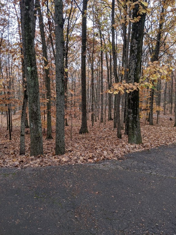49 Noyes Road Vestal, NY 13850 - Photo 27 of 29 Gallery Image 27