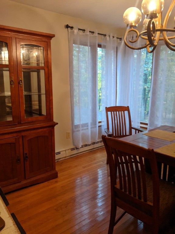 49 Noyes Road Vestal, NY 13850 - Photo 7 of 29 Gallery Image 7