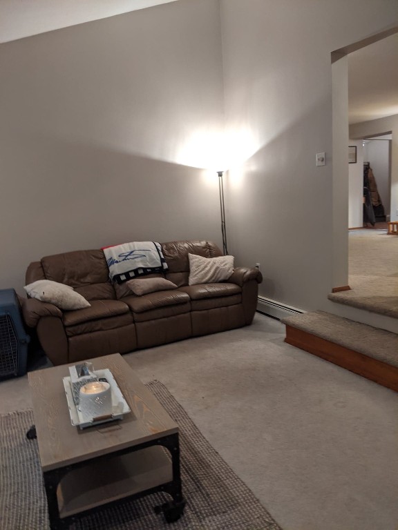 49 Noyes Road Vestal, NY 13850 - Photo 8 of 29 Gallery Image 8