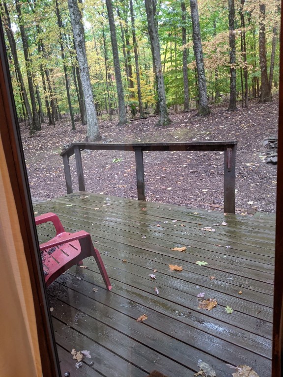49 Noyes Road Vestal, NY 13850 - Photo 9 of 29 Gallery Image 9