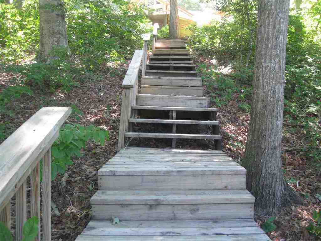 1476 Coneross Point Drive Seneca, SC 29678 - Photo 24 of 33 Gallery Image 24