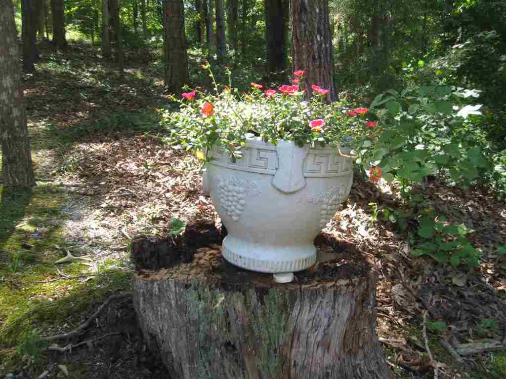1476 Coneross Point Drive Seneca, SC 29678 - Photo 6 of 33 Gallery Image 6
