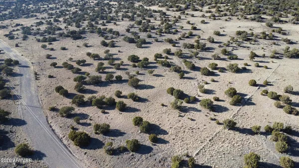 a view of sink and flowers