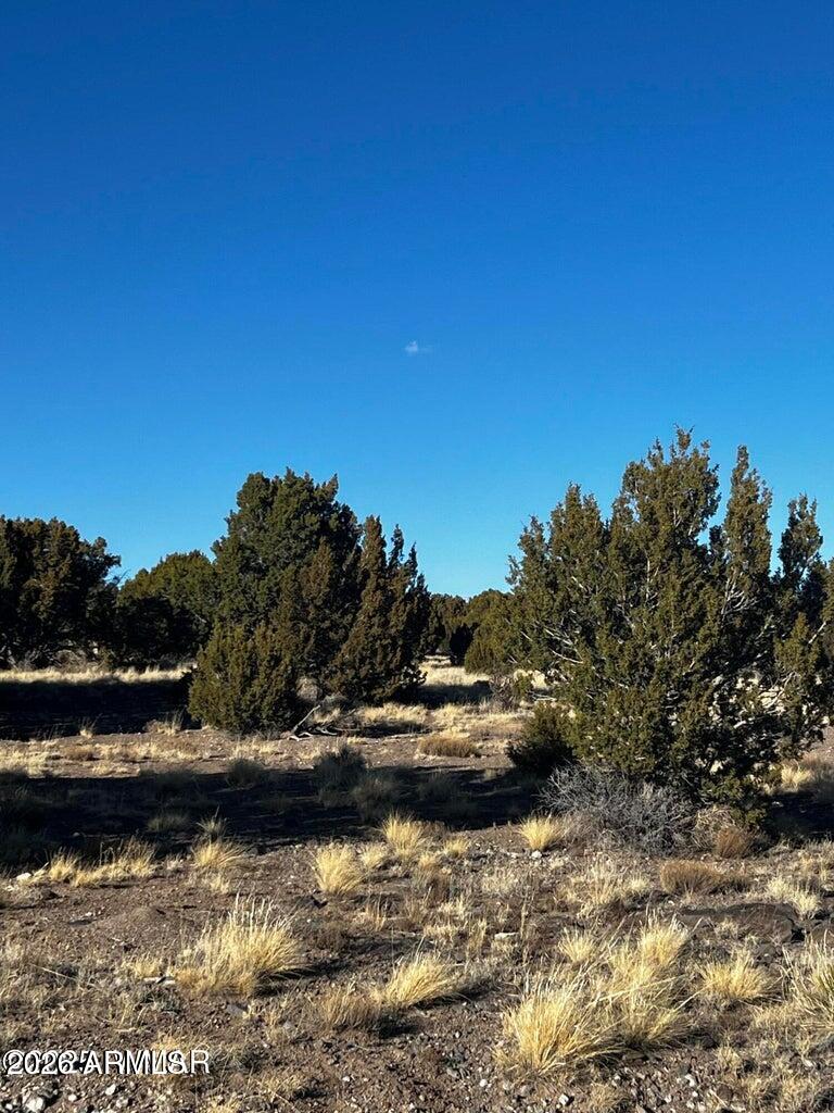 0 8626, Unit 38 Concho, AZ 85924 - Photo 3 of 7 a view of lake