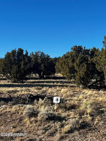 a view of a yard with mountain view