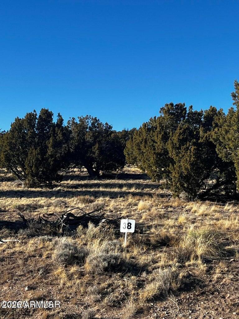 0 8626, Unit 38 Concho, AZ 85924 - Photo 7 of 7 a view of a yard with mountain view
