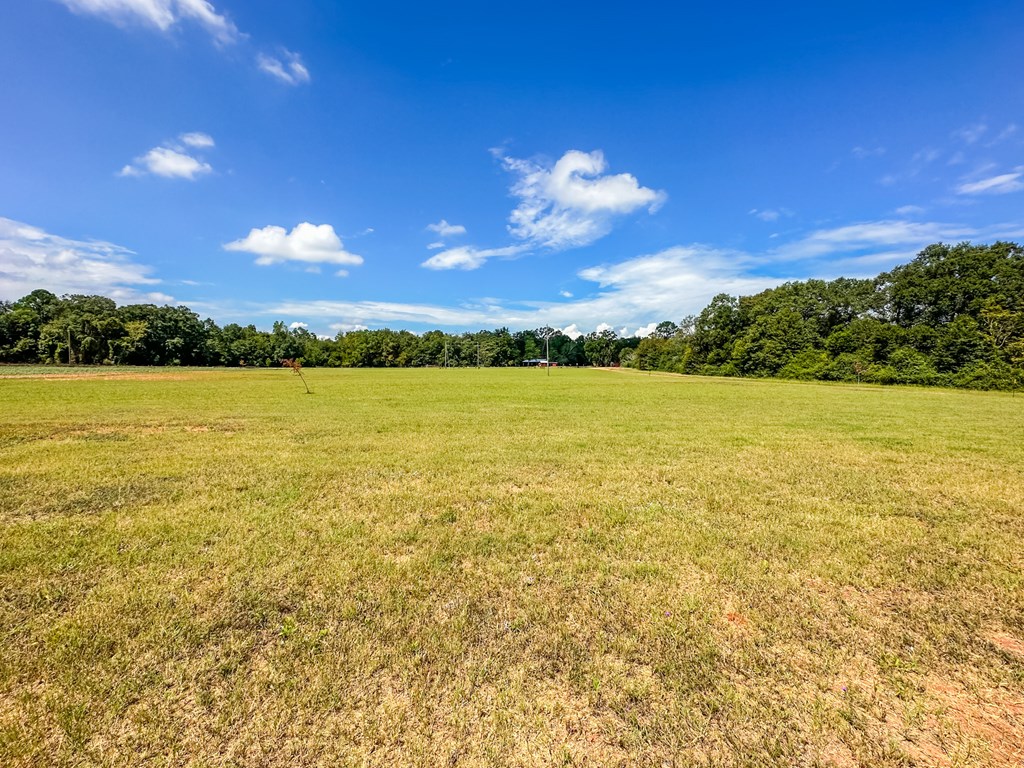 543 St Stephens Road Slocomb, AL 36375 - Photo 17 of 22