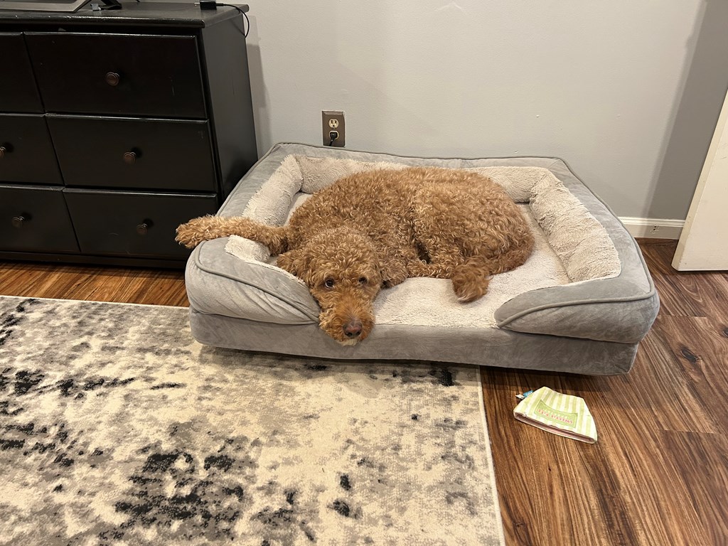 2125 13th Street, Unit 12 Columbus, GA 31906 - Photo 17 of 17 a living room with a couch and a rug