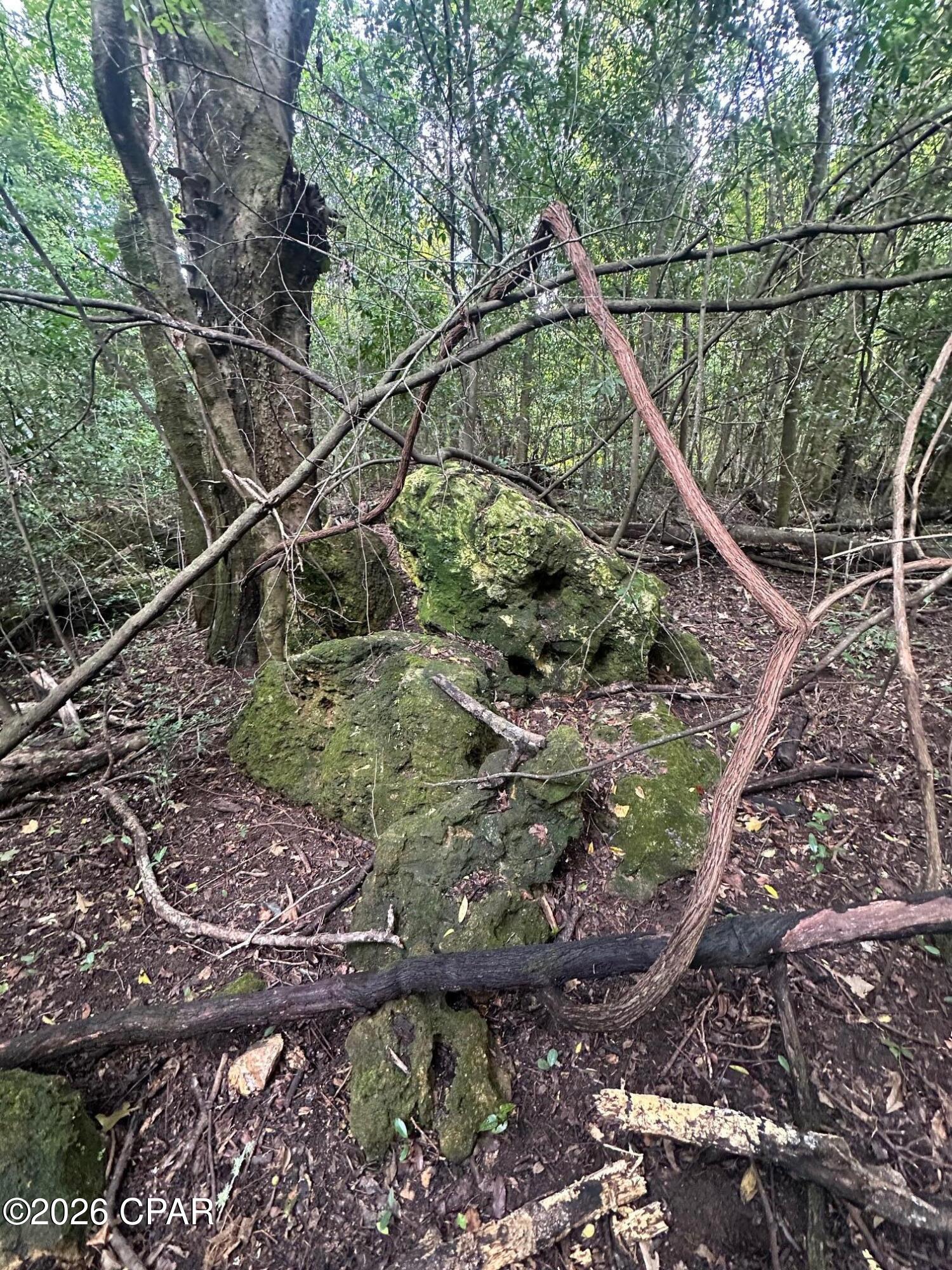 Gallery Image 6