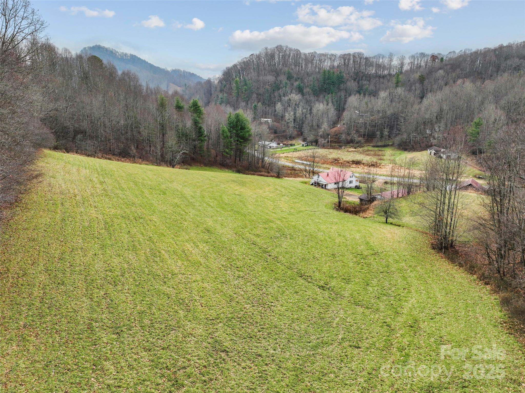 456 Windy Gap Road Mars Hill, NC 28754 - Photo 6 of 47 a view of outdoor space with garden and mountain view