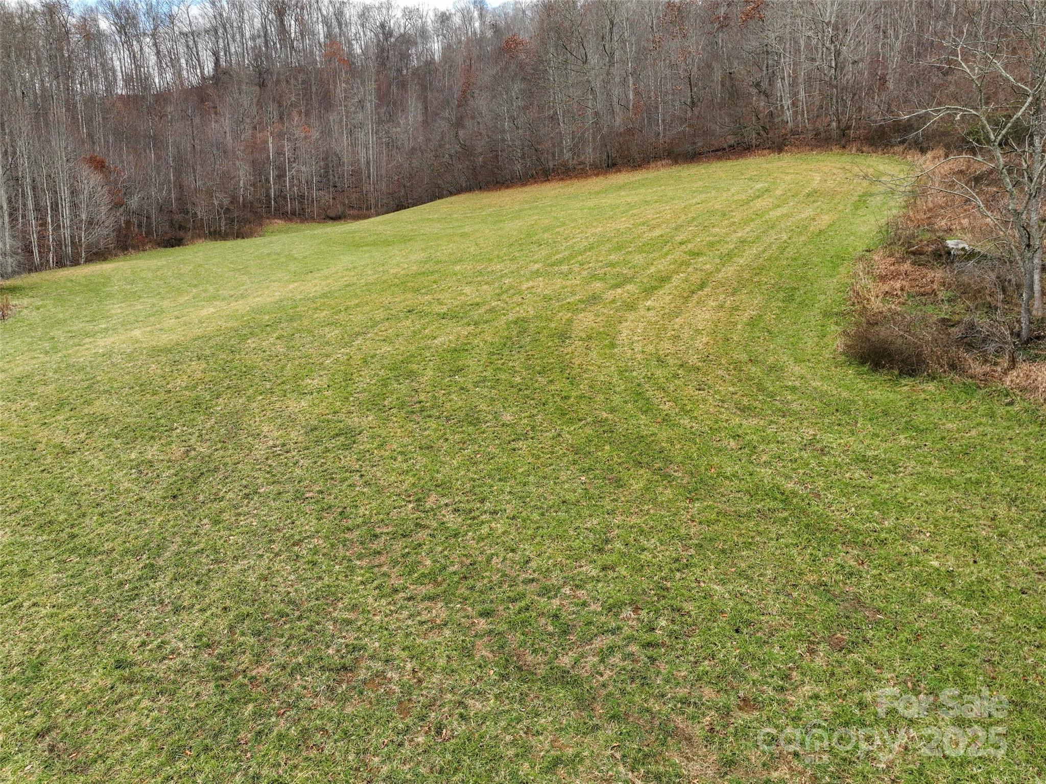 456 Windy Gap Road Mars Hill, NC 28754 - Photo 7 of 47 a view of yard with swimming pool and green space