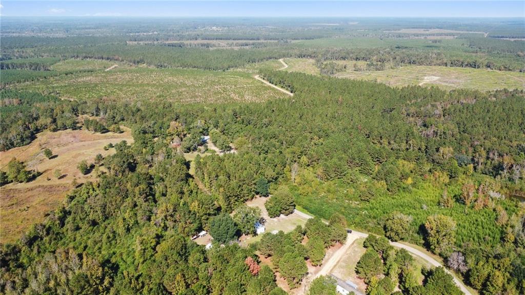 15369 South Choctaw Road Franklinton, LA 70438 - Photo 20 of 27