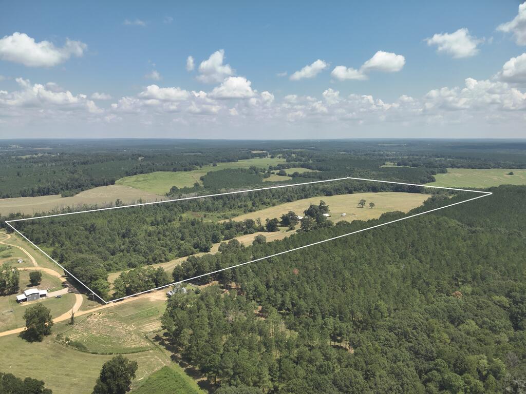 218 Chaney Branch Road Clio, AL 36017 - Photo 2 of 72 Gallery Image 2