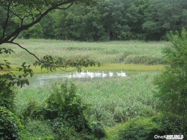 15 Old Field Road Setauket, NY 11733 - Photo 11 of 12
