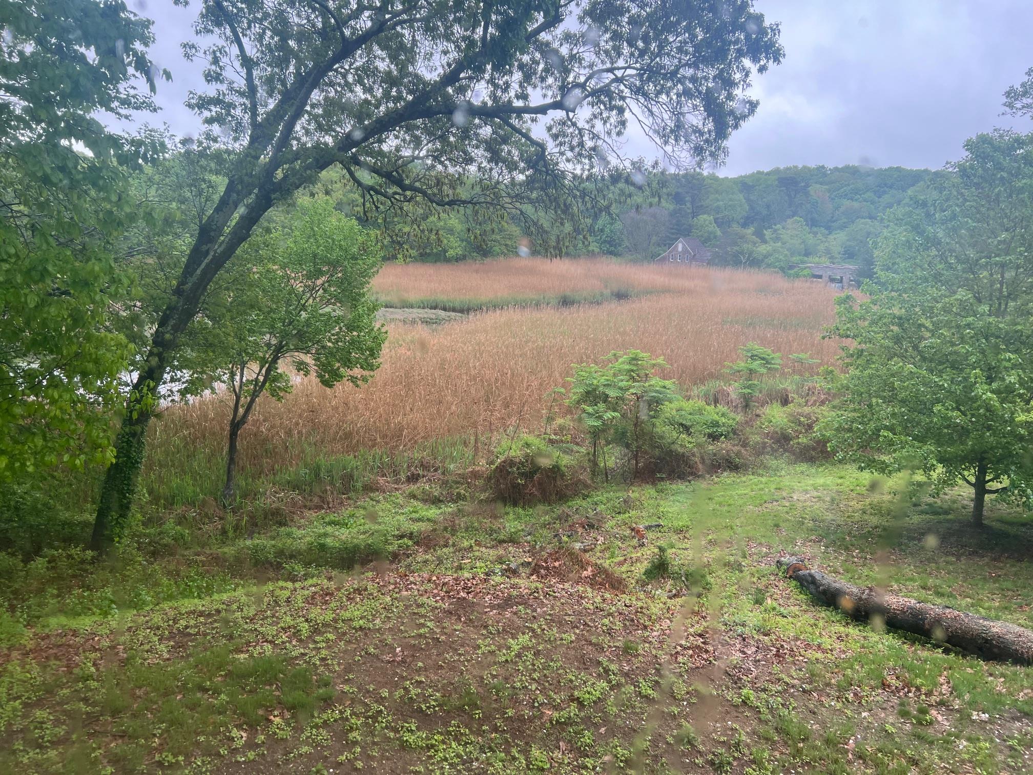 15 Old Field Road Setauket, NY 11733 - Photo 9 of 12 View of tree filled area