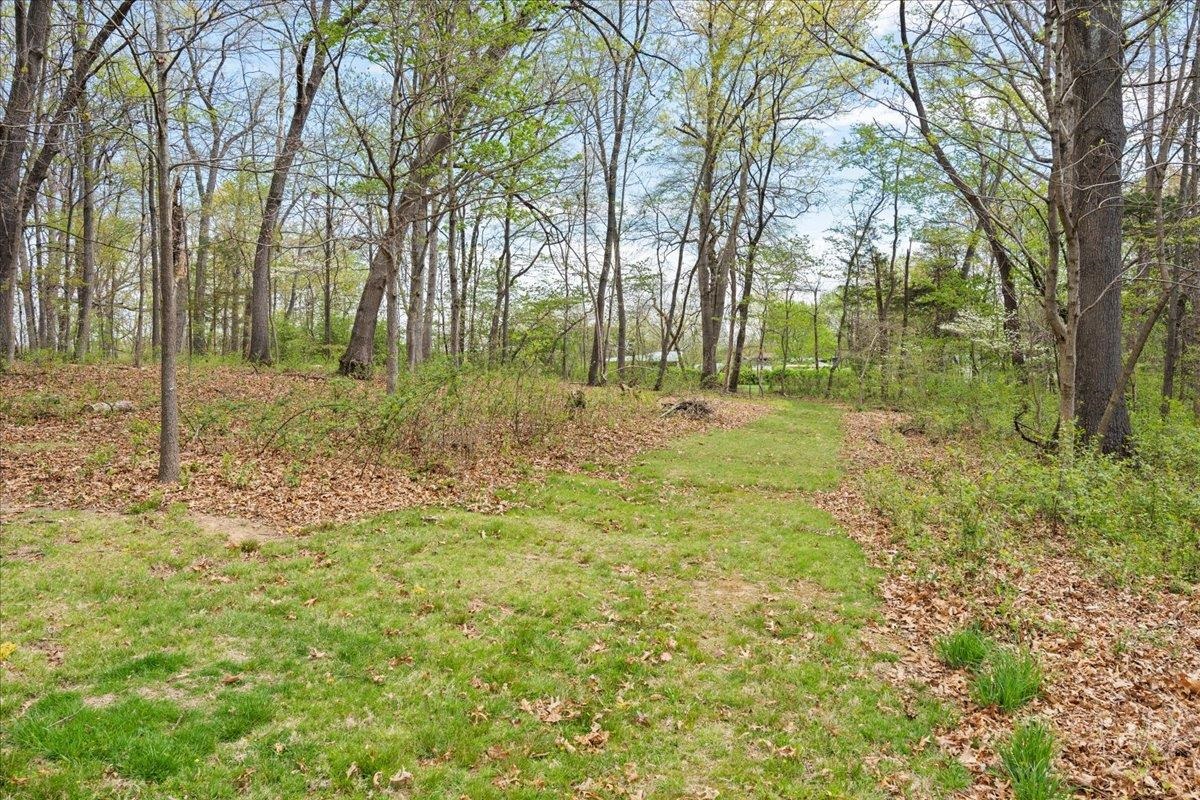 140 Swisher Road Staunton, VA 24401 - Photo 43 of 53 a view of a yard with trees