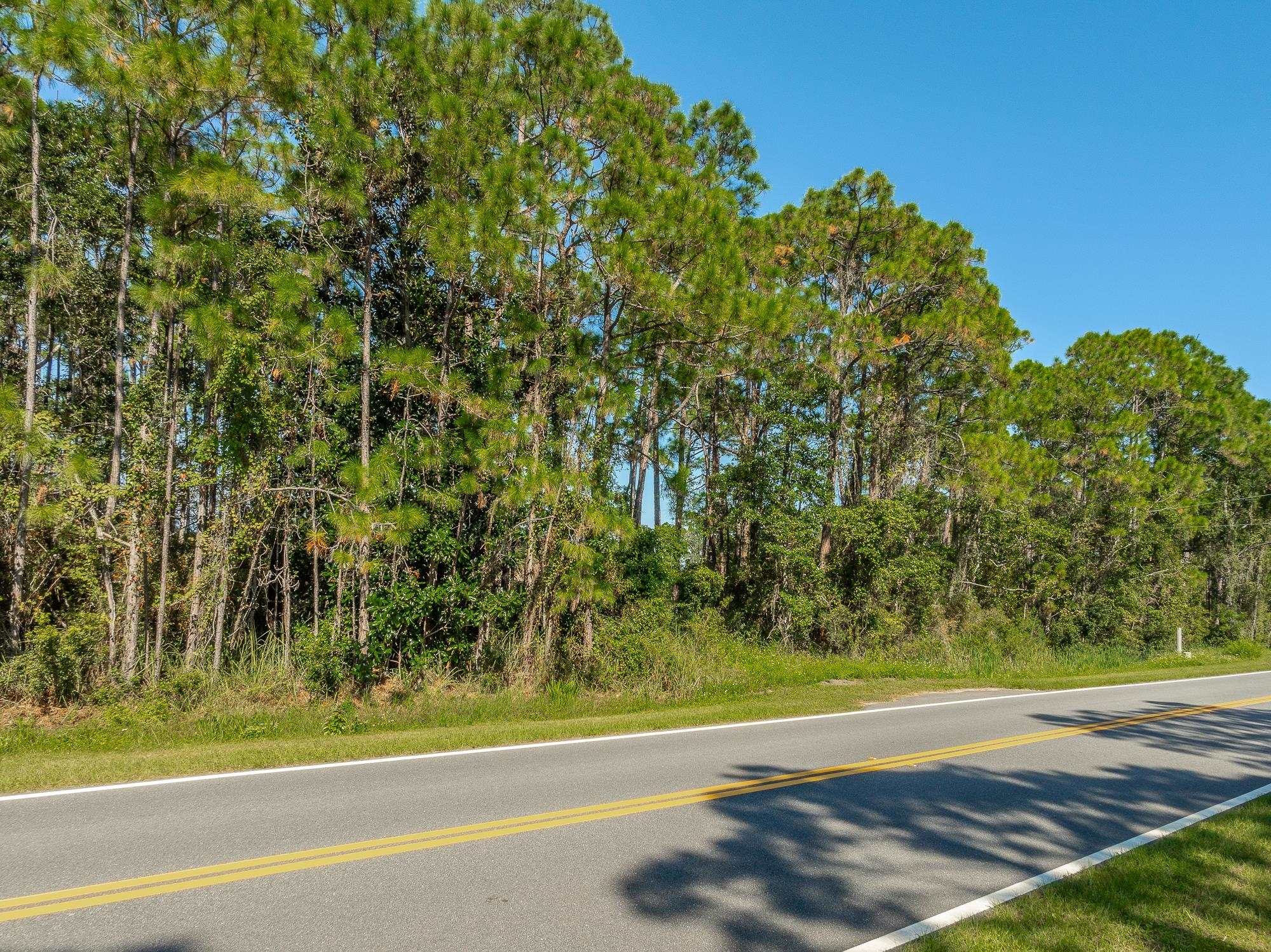 141 Timber Island Road Carrabelle, FL 32322 - Photo 13 of 25 Gallery Image 13