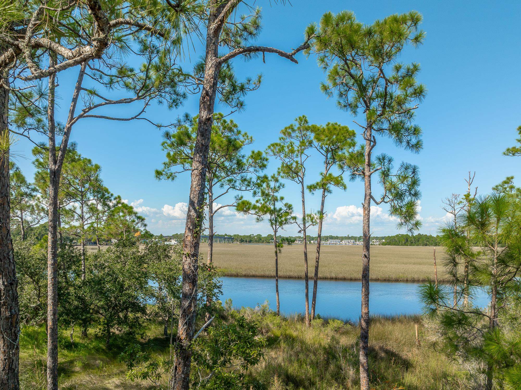 141 Timber Island Road Carrabelle, FL 32322 - Photo 25 of 25 Gallery Image 25