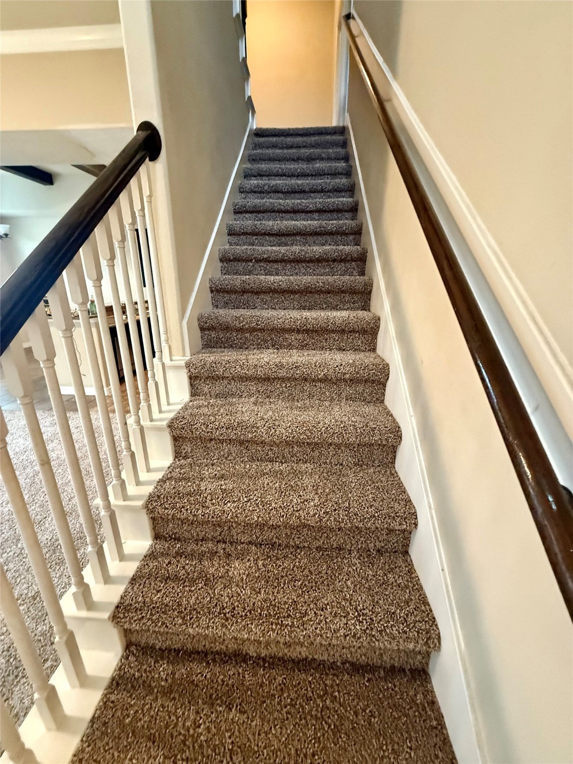 25106 Andris Lane Spring, TX 77386 - Photo 25 of 44