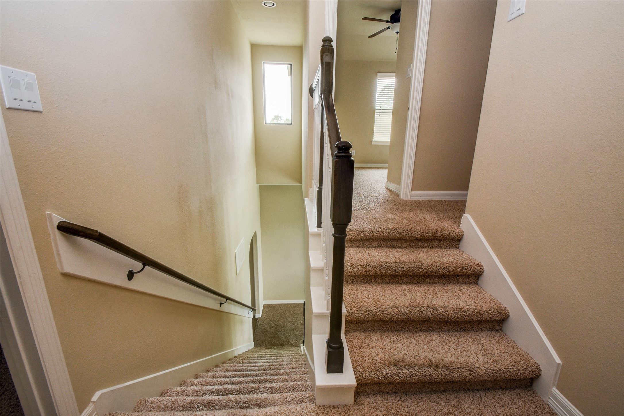 25106 Andris Lane Spring, TX 77386 - Photo 27 of 44