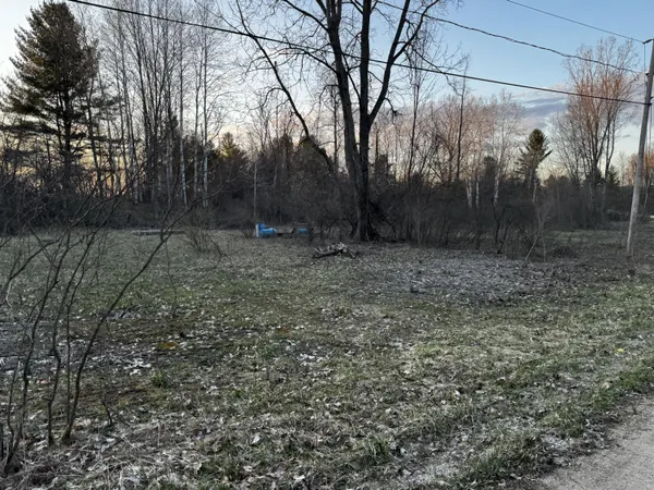 $28,500 | 23027 Miramichi Drive, Evart, MI 49631