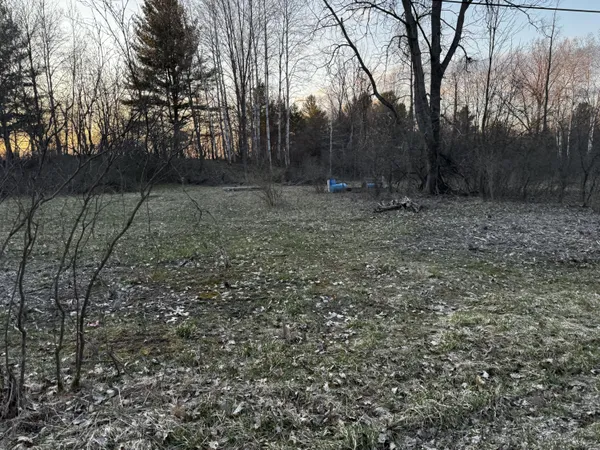 $28,500 | 23027 Miramichi Drive, Evart, MI 49631