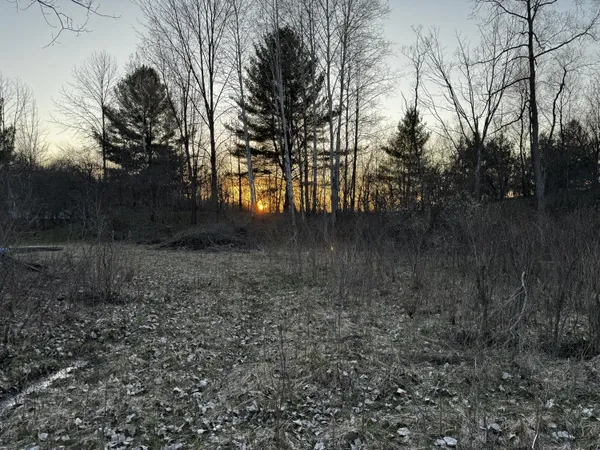 $28,500 | 23027 Miramichi Drive, Evart, MI 49631