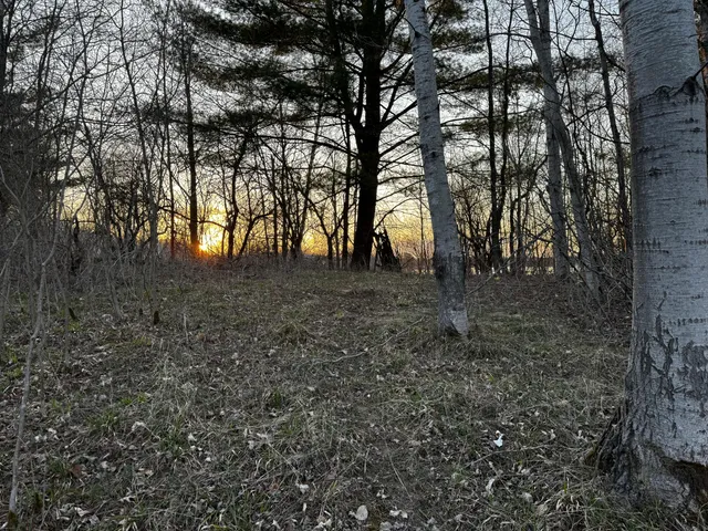 $30,000 | 23027 Miramichi Drive, Evart, MI 49631