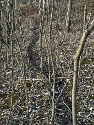 $30,000 | 23027 Miramichi Drive, Evart, MI 49631