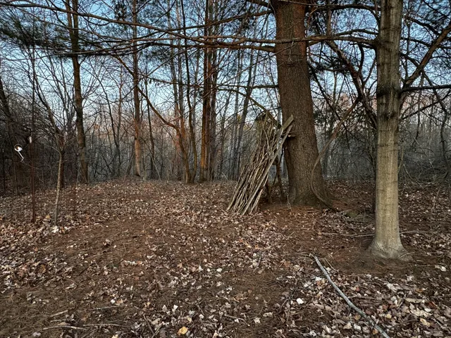 $30,000 | 23027 Miramichi Drive, Evart, MI 49631